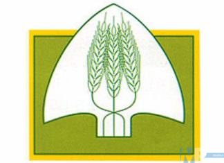 Campobasso, riaperto l’agrimercato di Campagna Amica: non solo cibo ma anche prodotti agricosmetici