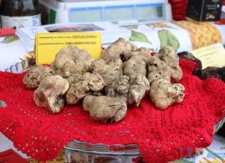 Il tartufo bianco di San Pietro Avellana conquista il turismo, il resoconto della 25° fiera