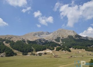 Parco del Matese, le preoccupazioni di allevatori e agricoltori