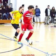 Micatrotta in azione