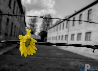 Giorno della memoria in Molise, la Regione ricorda la Shoah e la sopraffazione di massa