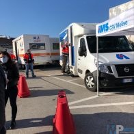 Avis autoemoteca Cardarelli (1)