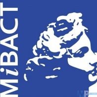mibact 3