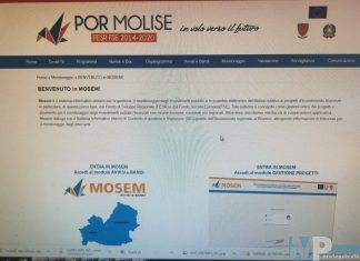 Click day – Tra disastri e dati confortanti dov’è la ragione?