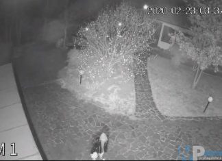 Polizia di Stato – Isernia:In poche ore denunciate 3 persone per reati contro il patrimonio.