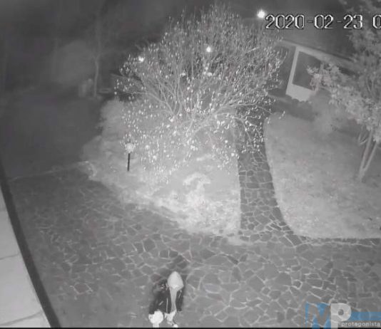 Polizia di Stato – Isernia:In poche ore denunciate 3 persone per reati contro il patrimonio.