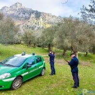 parco dell’olivo a Venafro