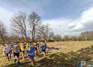 FIDAL: al via la stagione invernale – A Vinchiaturo la prima tappa dei Campionati regionali di società di Corsa Campestre