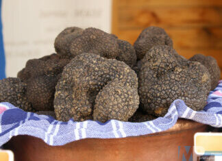 San Pietro Avellana, un webinar per scoprire l’analisi sensoriale del tartufo nero pregiato