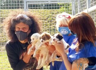 Missione presso il canile municipale di Campobasso per Giacomo Lucchetti, il campione di motociclismo con la grande passione per le quattro zampe