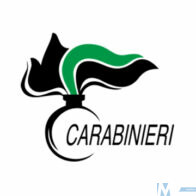 Arma_Carabinieri_logo