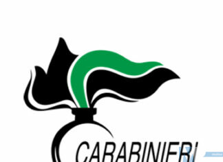 Incendio Monteroduni: Carabinieri forestali denunciano due uomini