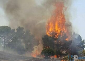Incendi Basso Molise, chiesta dichiarazione stato d’emergenza