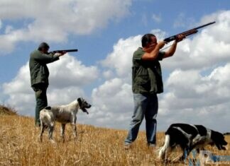 Caccia, modifiche alle preapertura alla tortora
