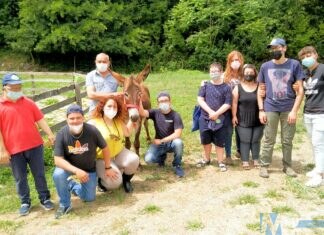 Gioco e terapia a bordo degli asini: domani l’open day di Somarando