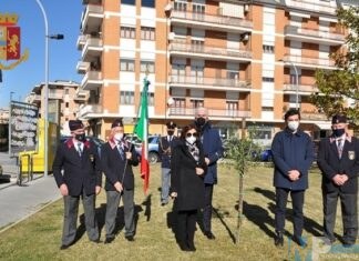 Polizia di Stato – Isernia – In Piazza D’Uva, piantato un ulivo in ricordo di Giovanni Palatucci.