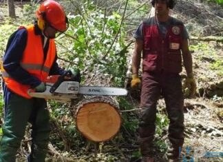 Stabilizzazione forestali, il Consiglio regionale boccia la mozione