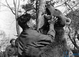 Venafro: monumento dedicato all’orso Wojtek.