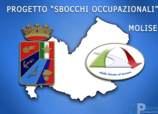 Confindustria Molise: Progetto “Sbocchi Occupazionali”