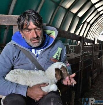 Muore a 48 anni il pastore molisano più conosciuto, protagonista di Geo & Geo