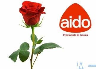 A.I.D.O. – Festa della mamma 13 e 14 maggio 2023 promuove “La Giornata della Rosa”