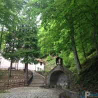 Bosco Sant&rsquo;Amico