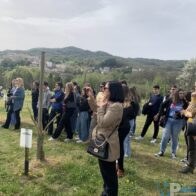 made in italy melise (4)