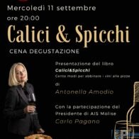 Immagine 2024-09-02 094757