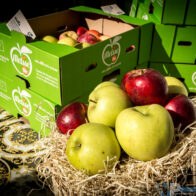 Festa della Mela 2024 credit E. Mancini