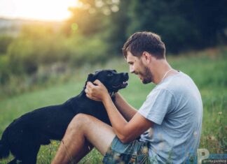 ODG Molise. Lezione di comunicazione tra Uomo e Animale venerdì in sede