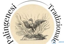 Palingenesi Tradizionale lancia la proposta di una Costituente del GOI.  Uniti, possiamo riscrivere la nostra storia