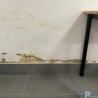 0323a6f2-8b54-40f2-aa4c-268ae7d90b1f