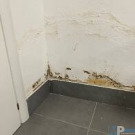 5cec636a-d79d-46e2-90bf-6465ae802893