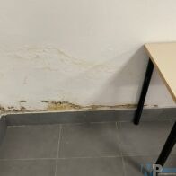 68403392-964f-4388-a43b-652c52ded0c7