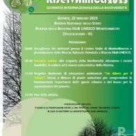 Screenshot 2025-05-17 200221