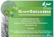 Riserva Naturale dello Stato “Montedimezzo”. Giornata Internazionale della Biodiversità, iniziativa nazionale “RISERvAMICA 2025”