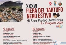 San Pietro Avellana, 9/10 Agosto “XXXVI ^ Fiera Del Tartufo Nero Estivo”