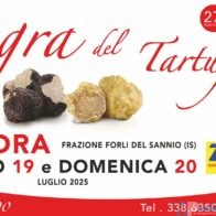 Immagine WhatsApp 2025-07-18 ore 20.33.00_06c137bc