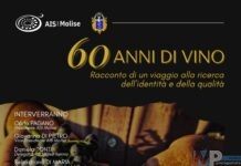 AIS Molise celebra i 60 anni dell’Associazione Italiana Sommelier con un viaggio nella storia del vino e dell’olio molisano