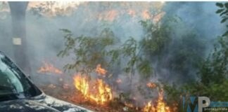 Identificato l’autore dell’incendio che il 22 luglio scorso  ha distrutto 60 ettari di vegetazione nell’alto Molise