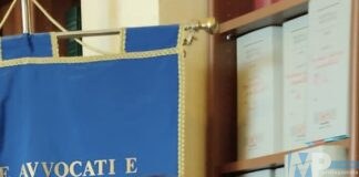 L’Avv.Roberta Moscardino, eletta componente dell’assemblea OCF 2025-2028, quale rappresentante del distretto del Molise.