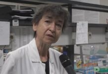 Il ricordo di Speranza Donatella Rubattu, scienziata di riferimento nella ricerca cardiovascolare