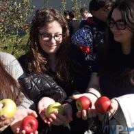 db472d55-c6f8-43b0-8018-7df020711d97