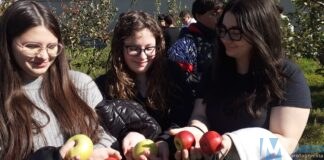 Foliage e degustazione mele: grande partecipazione agli incontri didattici dell’Associazione di quartiere “Vivi Colle dell’Orso Odv-ETS”