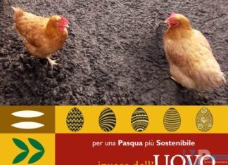 Pasqua solidale: “invece dell’uovo, regala una gallina”