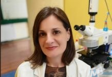 Recupero dopo ictus: decisivo il contributo dell’emisfero cerebrale opposto alla lesione