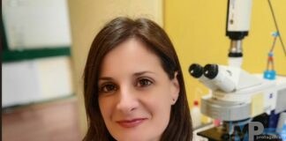 Recupero dopo ictus: decisivo il contributo dell’emisfero cerebrale opposto alla lesione