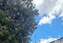 Grande successo a Campobasso per il primo gazebo di Futuro Nazionale Vannacci