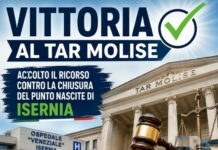 Punto Nascite di Isernia: il TAR dice “Alt!”. Ora speriamo che anche le cicogne leggano le sentenze